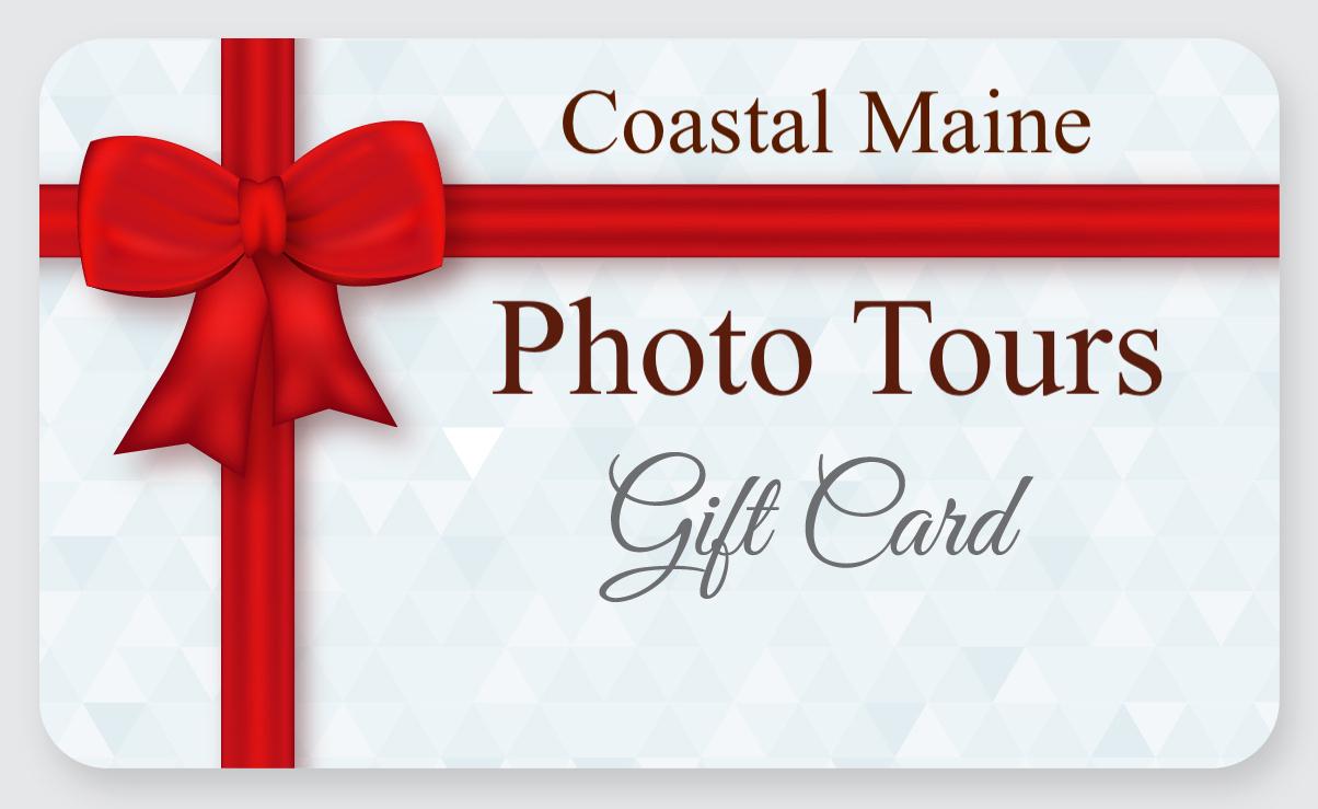 Gifting an experience. Photography gift card for a photo tour, photo workshop, photo classes with Dee Peppe