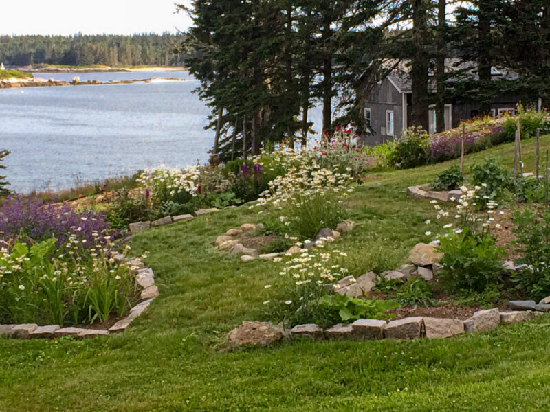 Your walk to the yoga cabin.