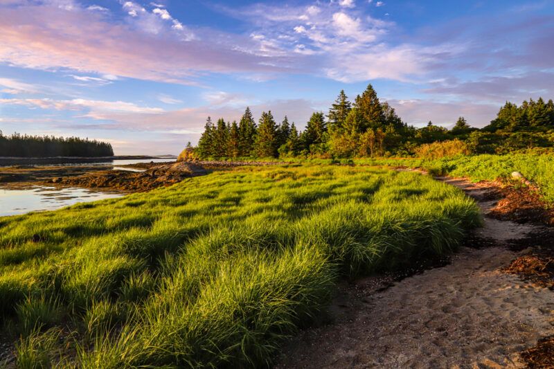 One of Vinalhaven's many nature preserves, Lanes Island Preserve is not to be missed.